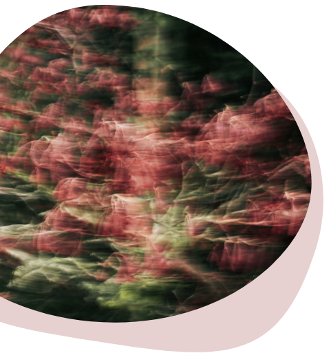 Signes du traumatisme
